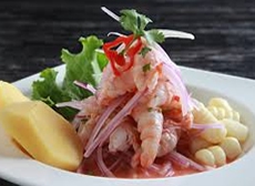 LIMA GASTRONÓMICA &amp; ARTÍSTICA