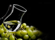 RUTA DEL PISCO, OASIS HUACACHINA &amp; BUGGIES